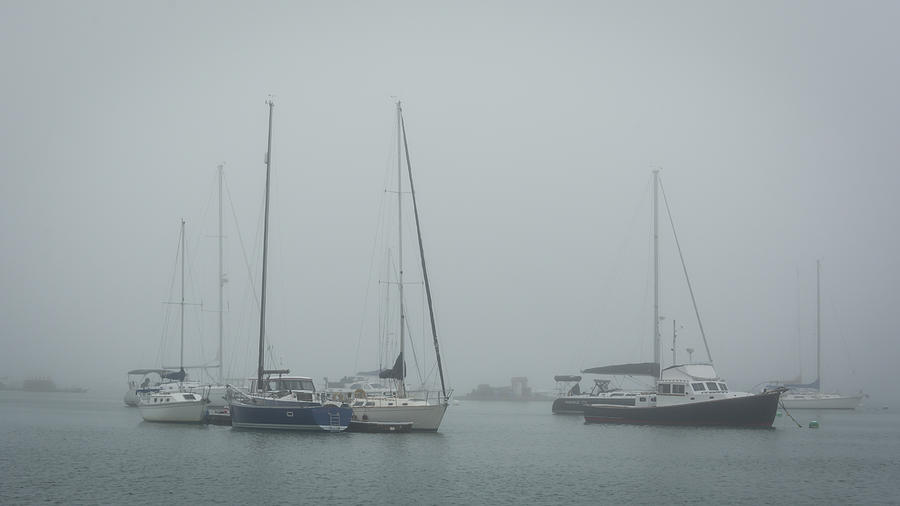 Foggy Freeport Photograph by Guy Whiteley