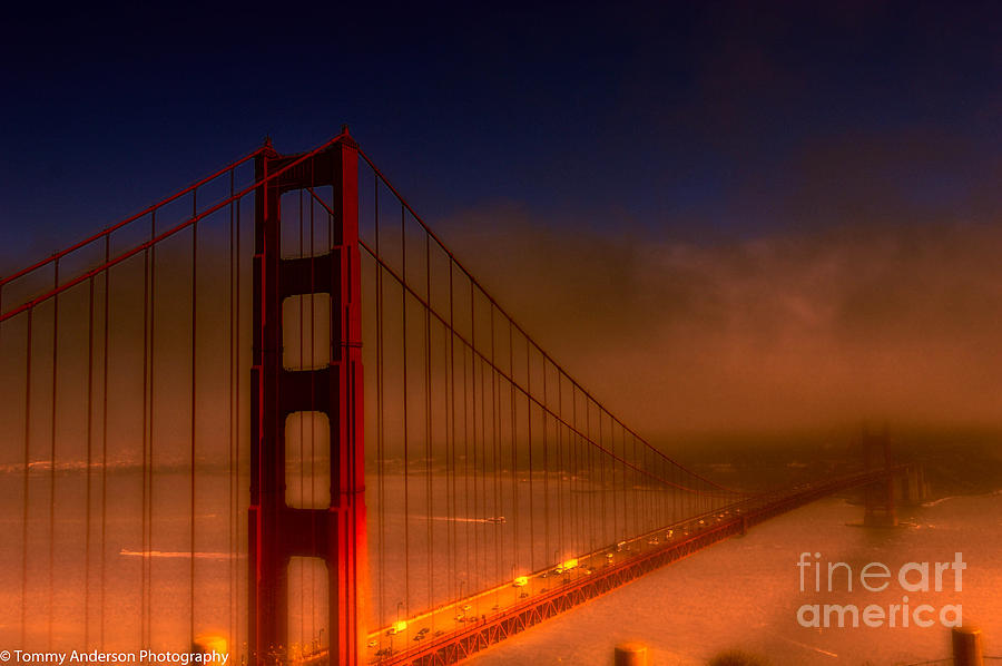 Foggy Golden Gate at Sunset Photograph by Tommy Anderson