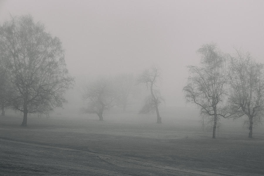 Foggy golfing Photograph by Kunal Mehra