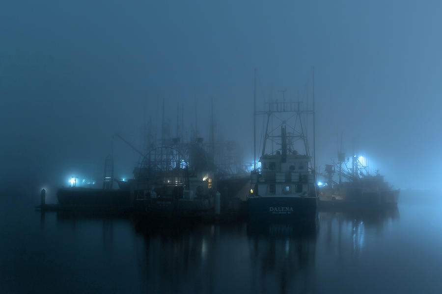 Foggy Harbor Photograph by American Landscapes