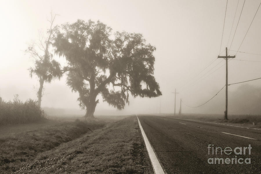Foggy Highway - sepia Photograph by Scott Pellegrin
