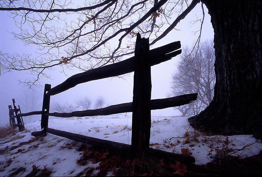 Foggy Hollow Photograph by Bill Cain