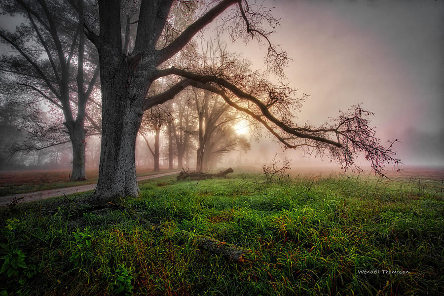 Foggy Kentucky Sunrise Photograph by Wendell Thompson