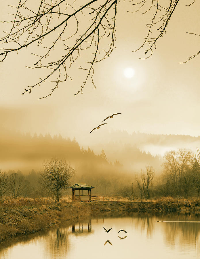Foggy lake and three couple of birds Photograph by William Lee