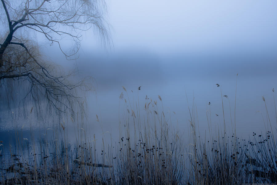 Pond Photograph - Foggy Lake by Ken Marsh