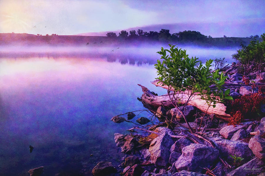 Foggy Lake Sunrise Photograph by Anna Louise