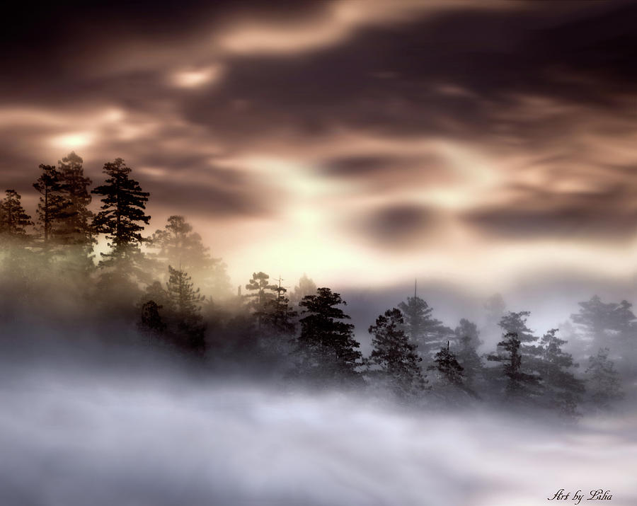 Foggy landscape  Photograph by Lilia D