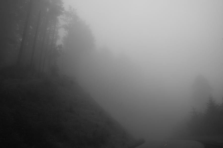 Foggy LC Road II Photograph by Dylan Punke