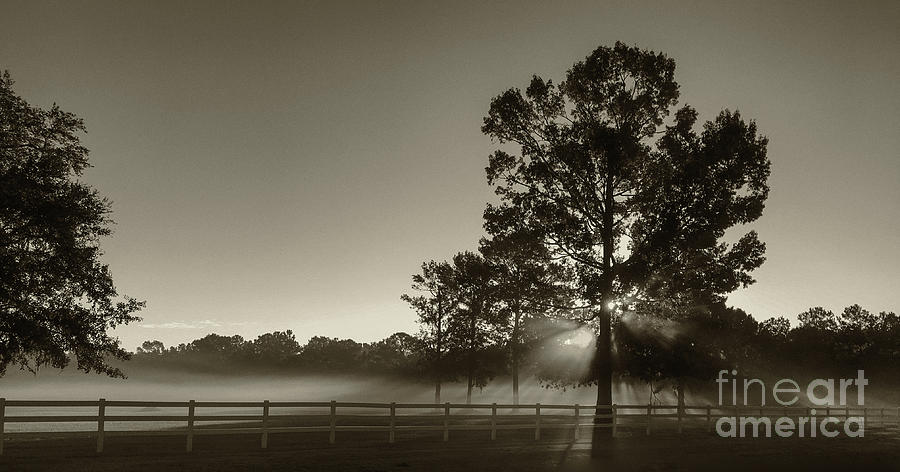 Black And White Photograph - Foggy Light Beams by Dale Powell