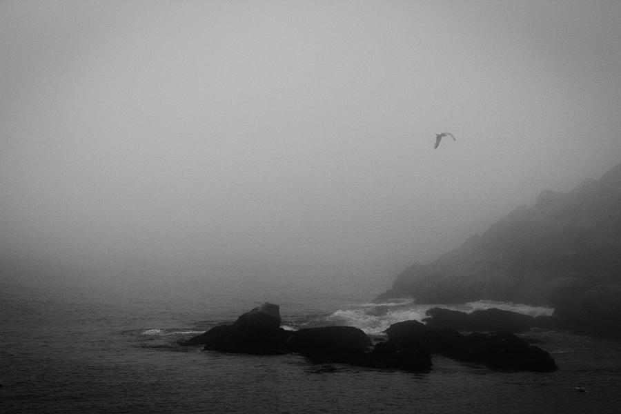 Foggy Maine Coast Photograph by Barry Wills