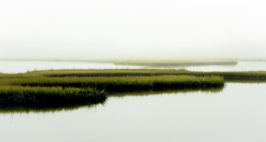Foggy Marsh Photograph