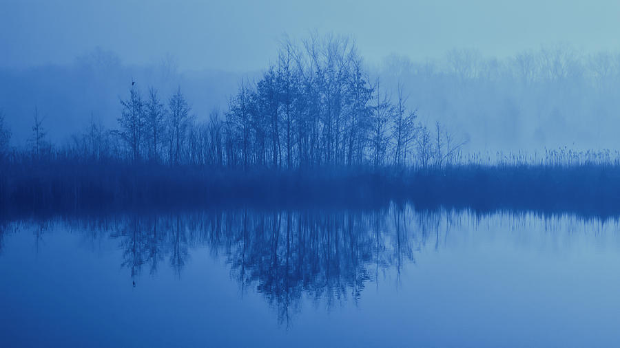 Foggy Marsh Photograph by John Hansen