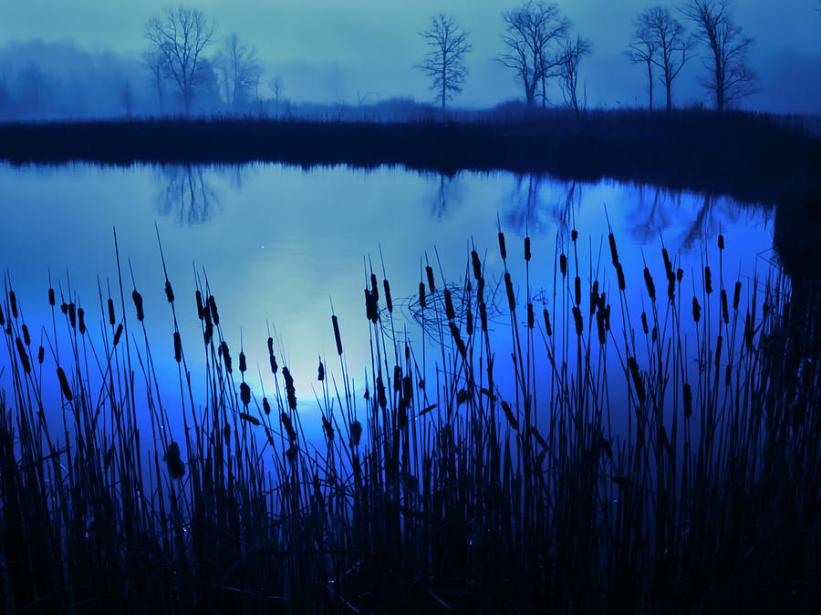 Foggy Marsh2 Photograph by John Hansen