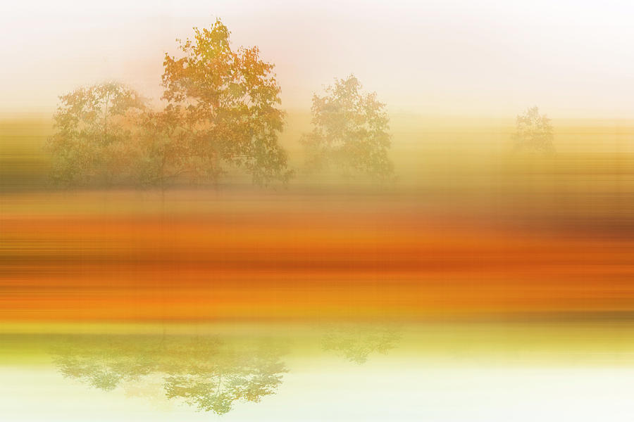 Foggy Meadow Dreamscape Photograph by Debra and Dave Vanderlaan