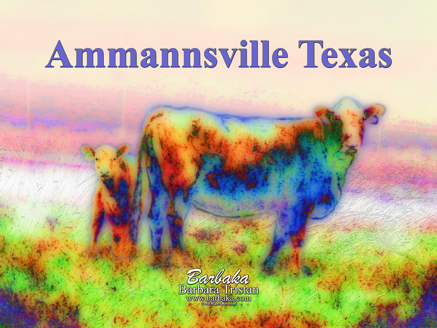 Foggy Mist Cows #0090 Arty Ammannsville Texas Photograph by Barbara Tristan