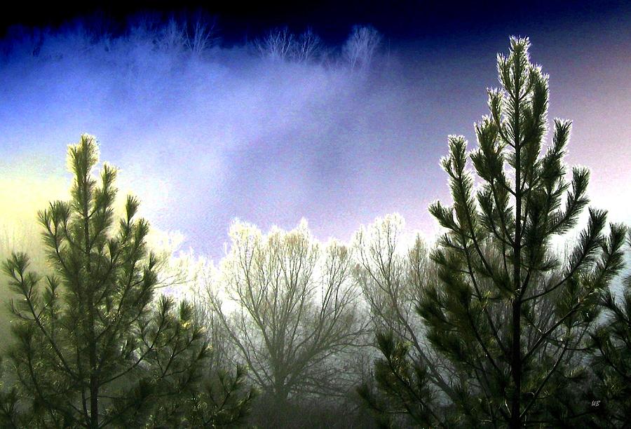 Foggy Moonlit Night Digital Art by Will Borden
