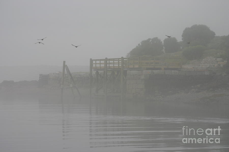 Foggy Morn Photograph by David Bishop