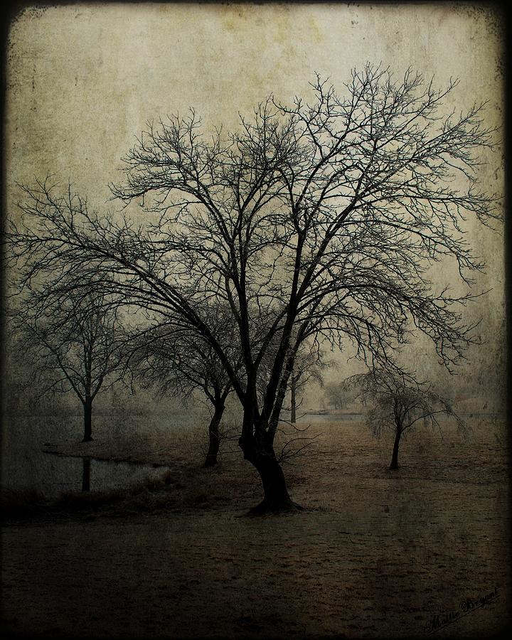 Tree Photograph - Foggy Morn II by Mattie Bryant