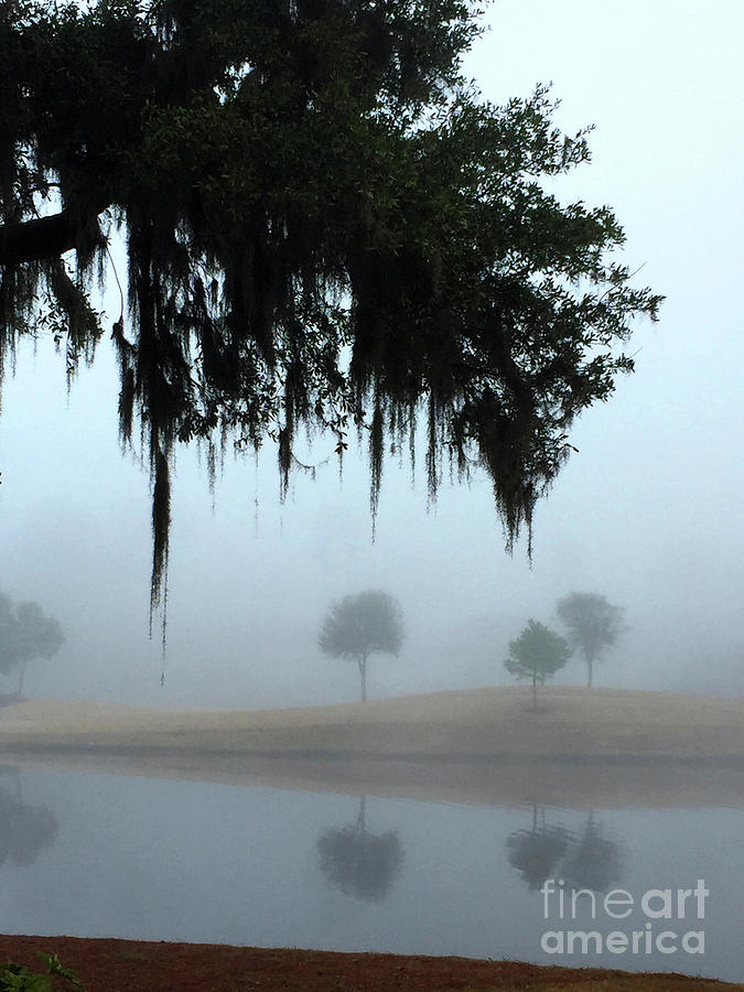 Foggy Morn Reflections Photograph by Rick Locke - Out of the Corner of My Eye