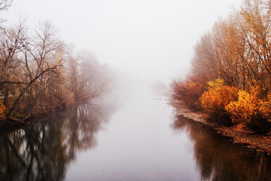Foggy morning along Boise River in Boise Idaho USA Photograph by Vishwanath Bhat
