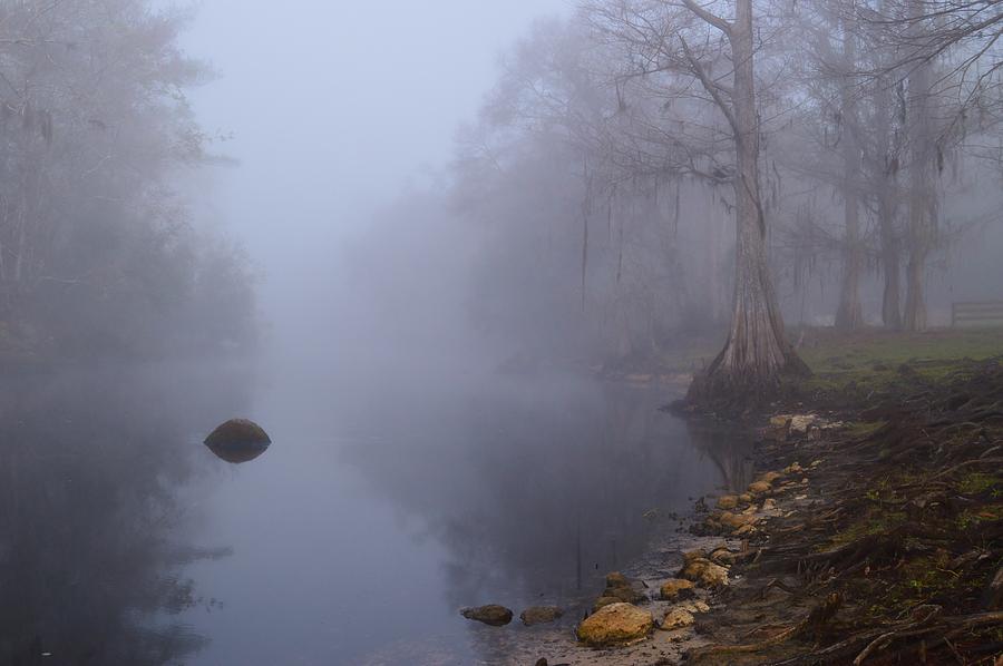 Foggy Morning And River Bank Photograph