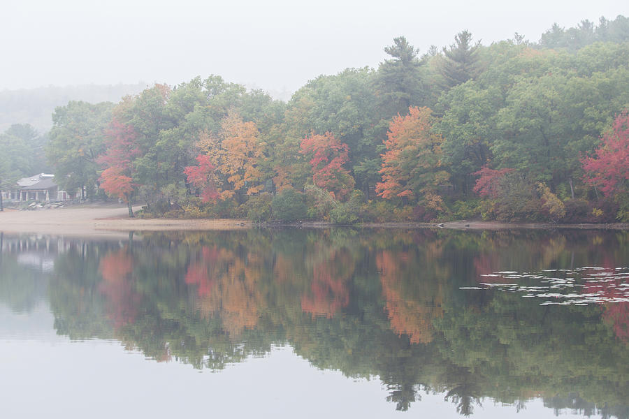 Foggy Morning At Houghtons Pond Photograph by Brian MacLean