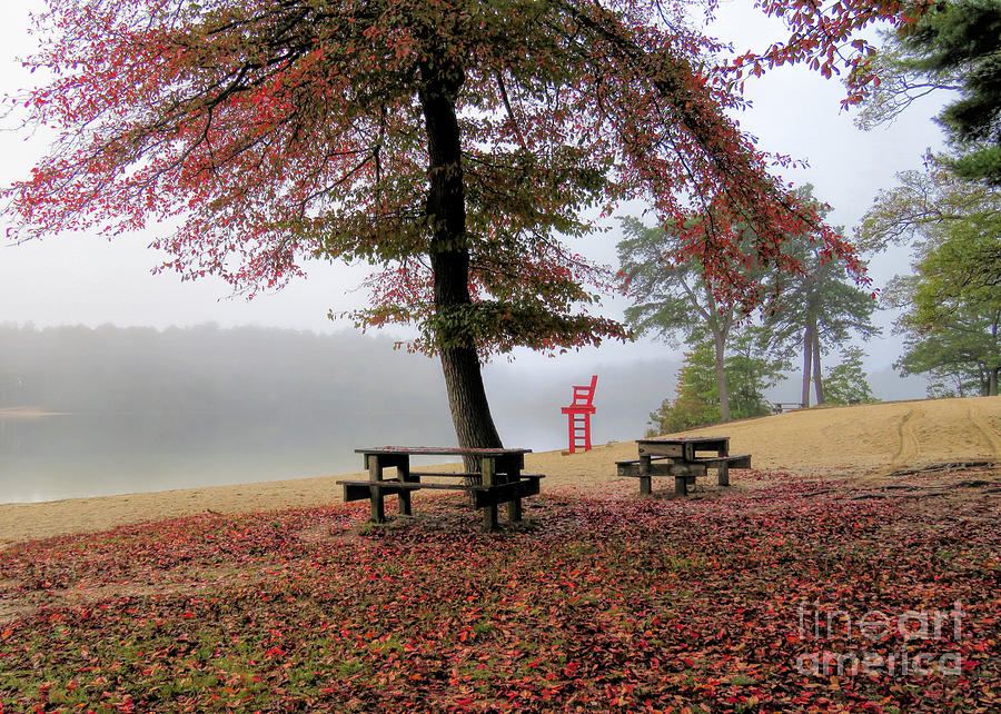 Fall Photograph - Foggy Morning at Morton Park  by Janice Drew
