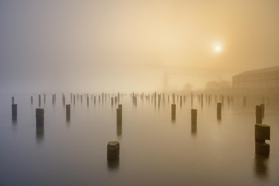 Foggy Morning At River Side Photograph