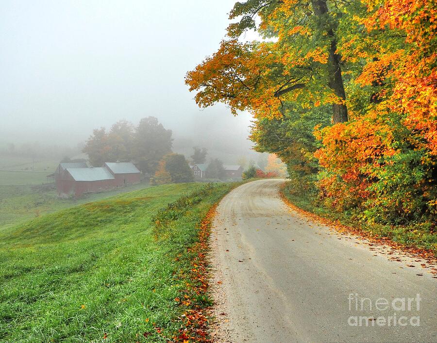 Foggy Morning at the Jenne Farm Photograph by Steve Brown