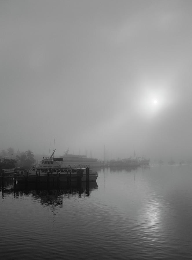 Foggy Morning Boat Photograph by Linda Steele