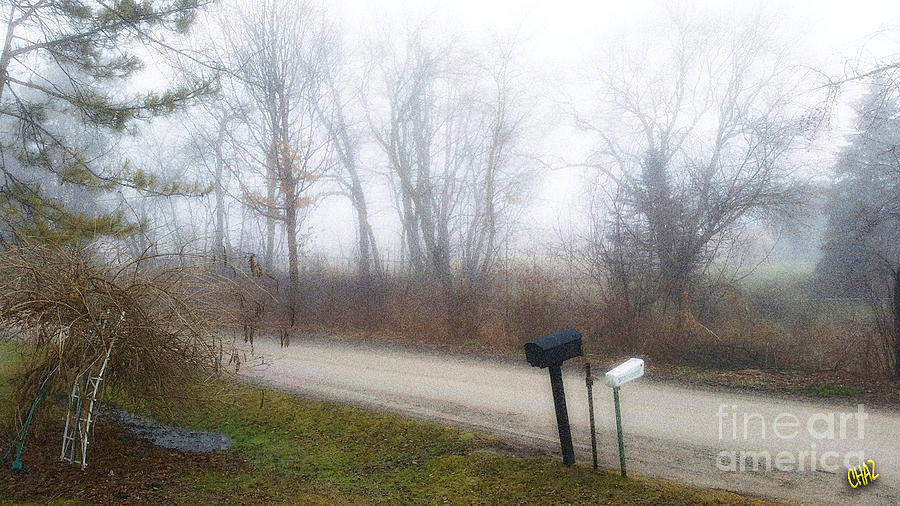 Foggy Morning Photograph by CHAZ Daugherty