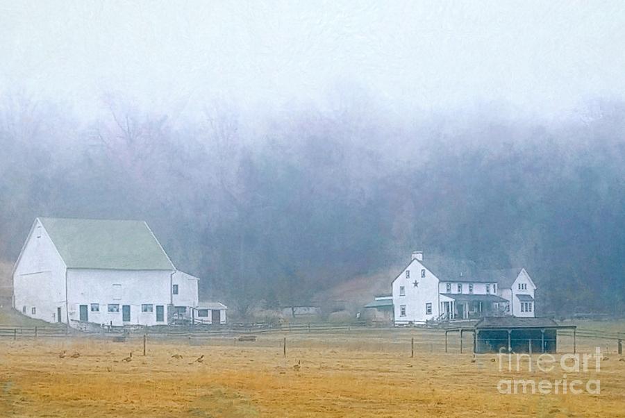 Foggy Morning Farm In West Chester Pa Photograph By Polly Peacock Fine Art America