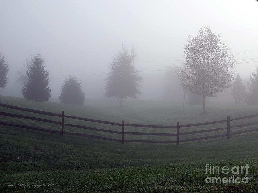 Inspirational Photograph - Foggy Morning by Gena Weiser