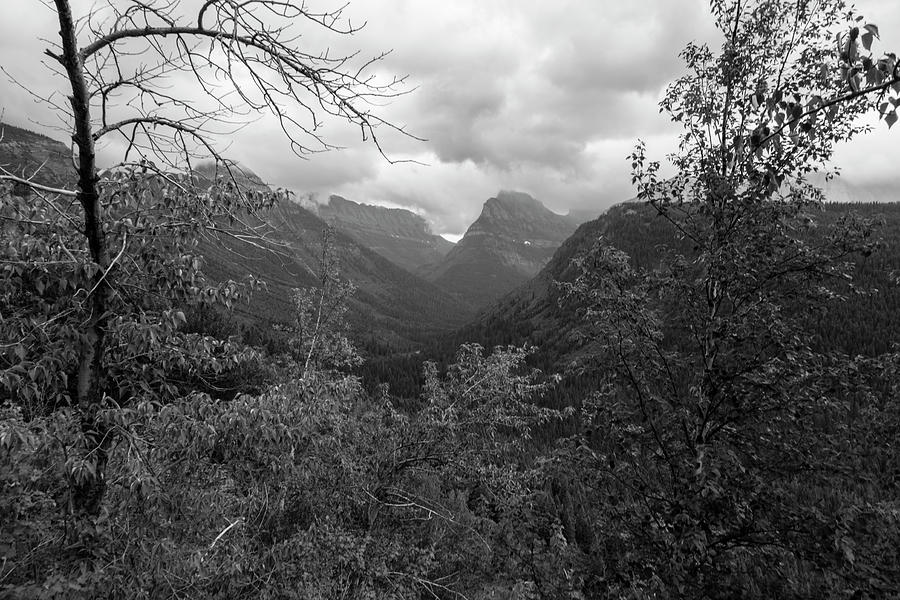 Foggy Morning Glacier National Park Black and White Photograph by John McGraw