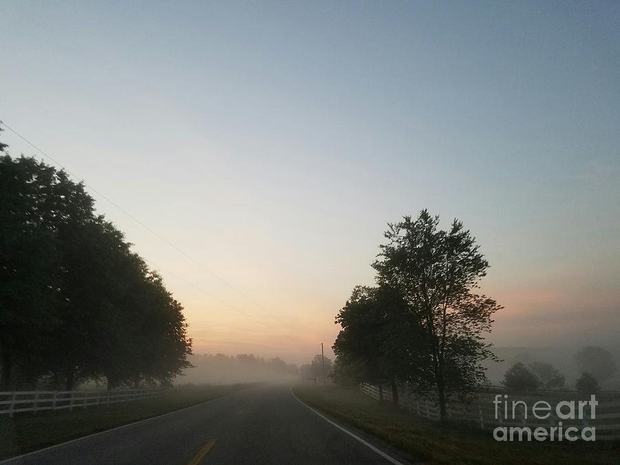Foggy Morning in May Photograph by Maria Urso