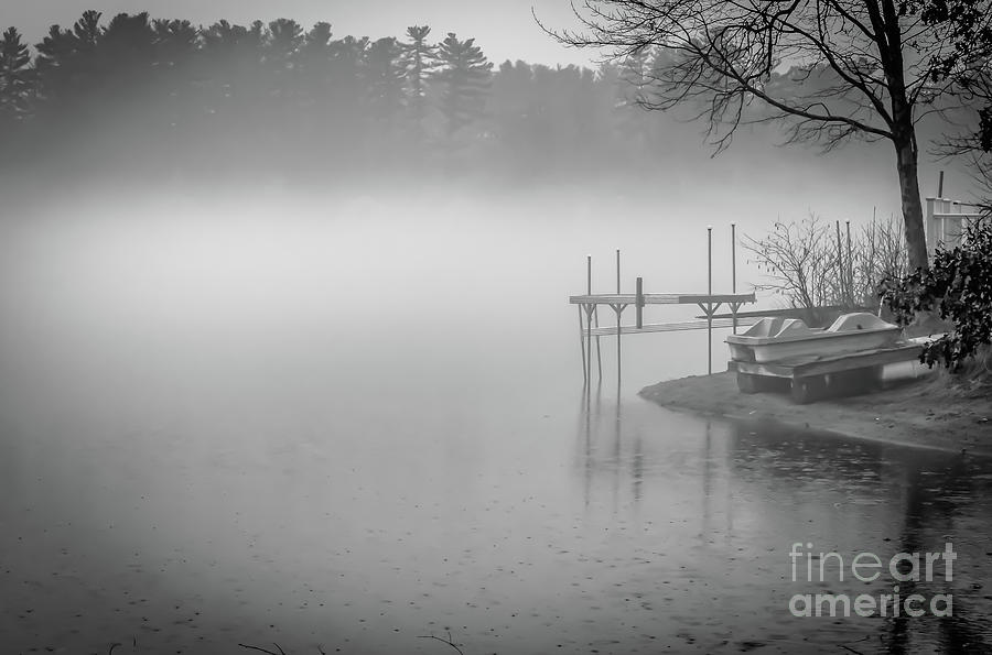 Foggy morning in monochrome Photograph by Claudia M Photography
