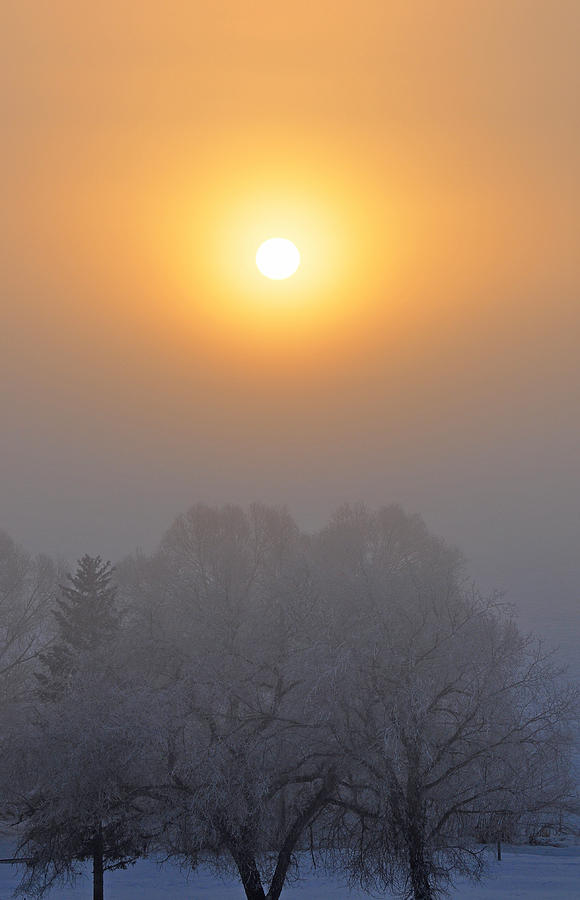 Foggy Morning in Montanas Gallatin Valley Photograph by Bruce Gourley