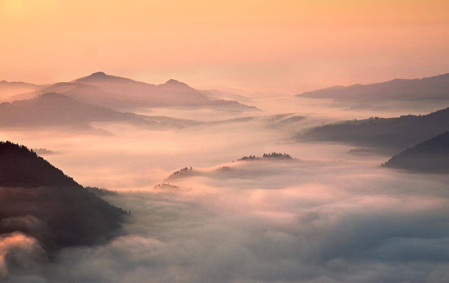 Landscape Photograph - Foggy Morning In The Mountains by Fproject - Przemyslaw Kruk