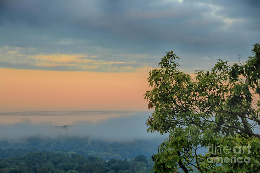 Foggy Morning in the Ozarks Photograph by Terri Morris