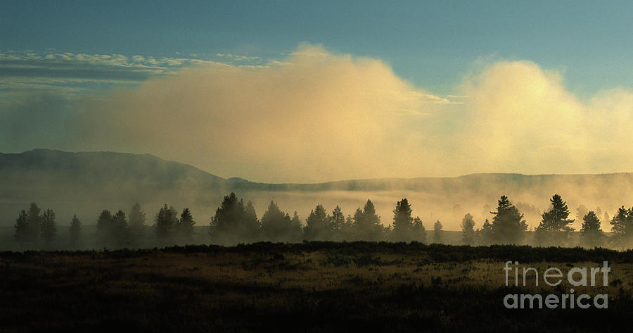 Foggy Morning in Yellowstone Photograph by Sandra Bronstein