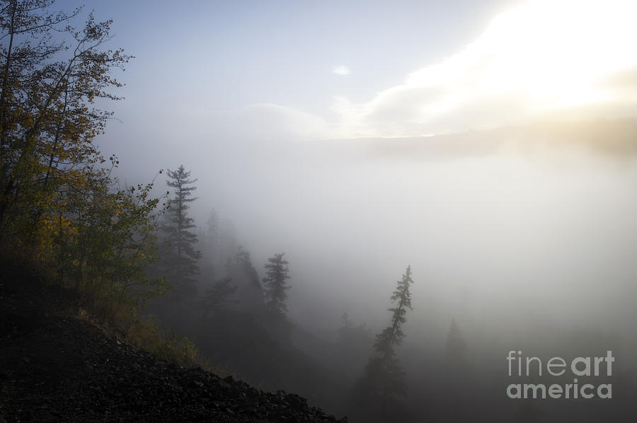 Yellowstone National Park Photograph - Foggy Morning in Yellowstone by Wildlife Fine Art