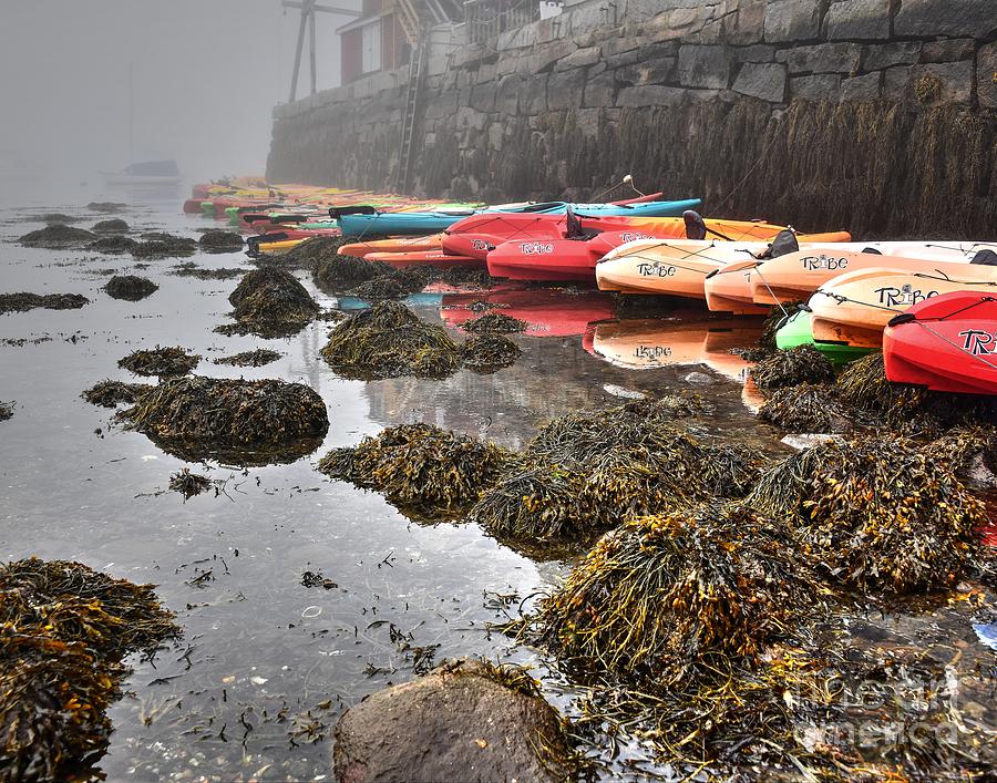 Foggy Morning Kayaks Photograph by Steve Brown