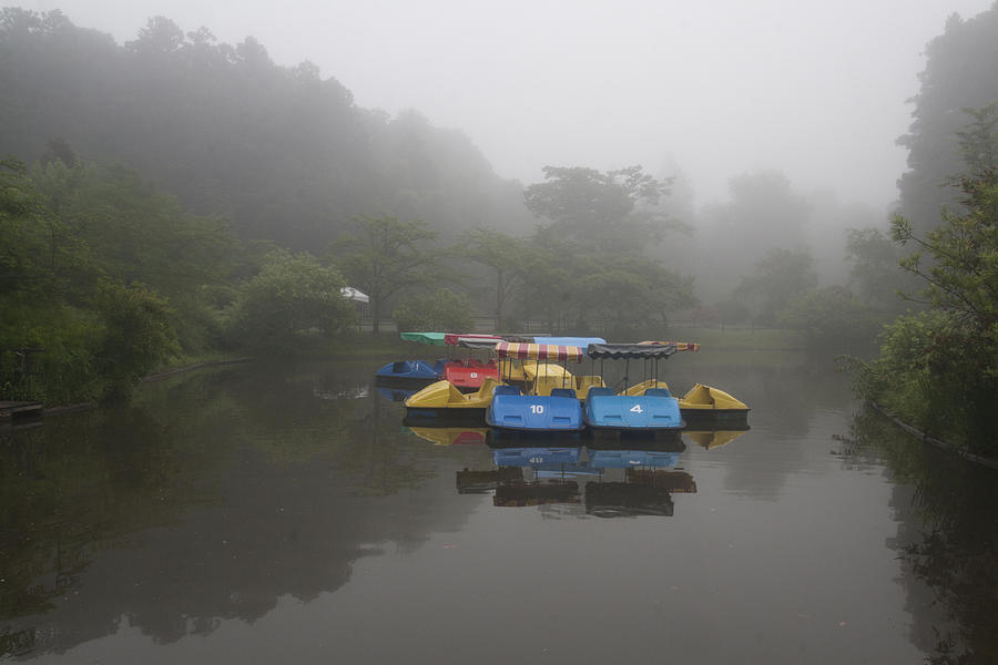 Foggy Morning Lake Photograph by Masami Iida