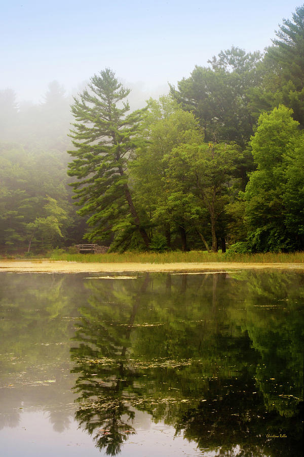 Foggy Morning Lake Reflection Photograph by Christina Rollo