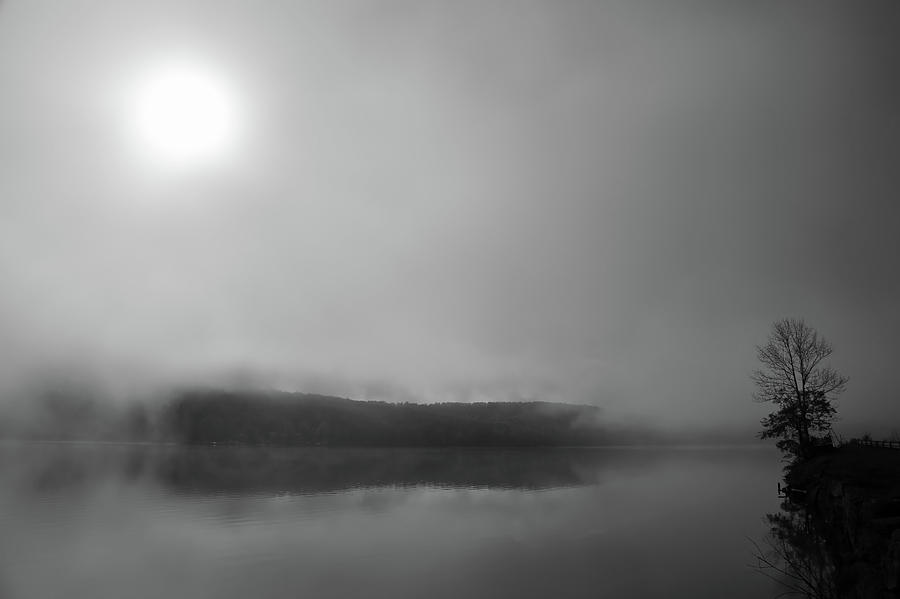 Foggy Morning Lake Reflections Photograph by Brooke T Ryan