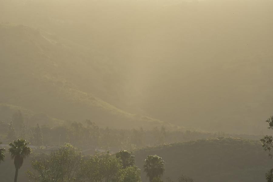 Sunrise Photograph - Foggy Morning by Linda Brody
