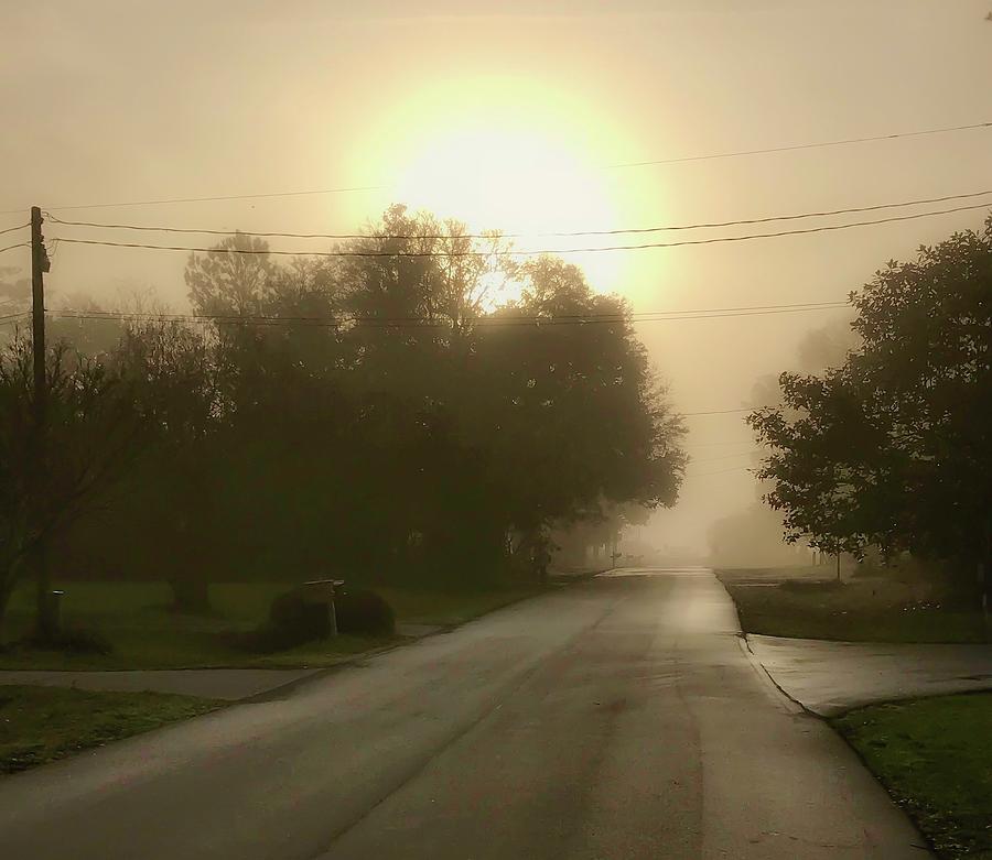 Foggy Morning Photograph by Mary Hahn Ward