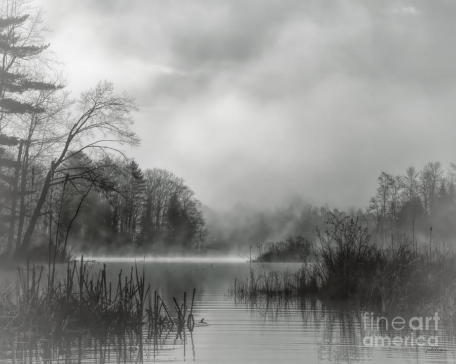 Foggy Morning On Cobbosseecontee Stream In Black And White Photograph