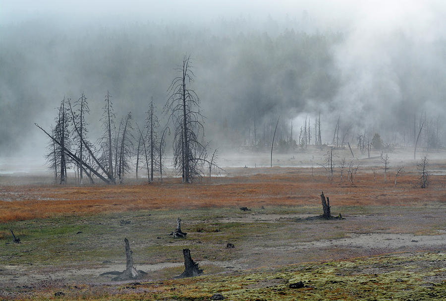Foggy Morning on Firehole Lake Drive Photograph by Bruce Gourley