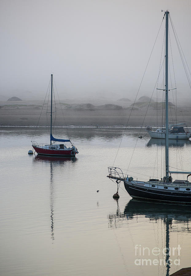 Morro Bay Photograph - Foggy Morning on Morro Bay  8B5251 by Stephen Parker